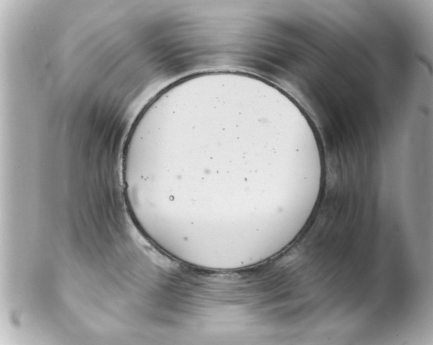 X0000102301388200808152007
