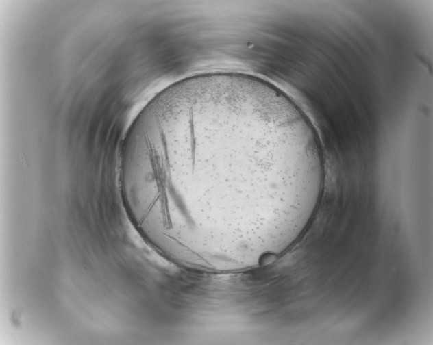 X0000102301390200808152007