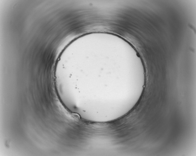 X0000102301392200808152007