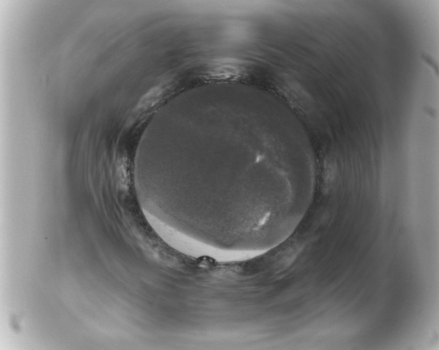 X0000102301394200808152006