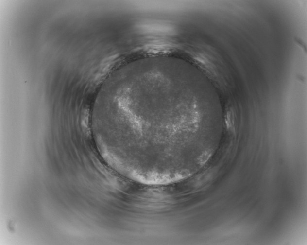 X0000102301396200808152006