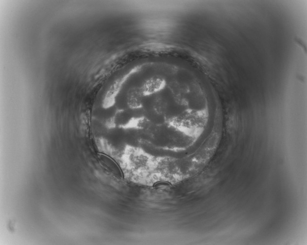 X0000102301397200808152007