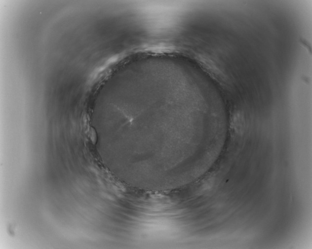 X0000102301398200808152007