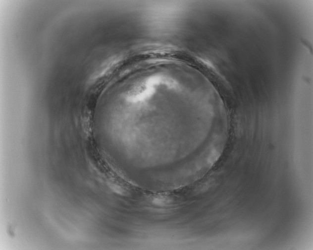 X0000102301399200808152007