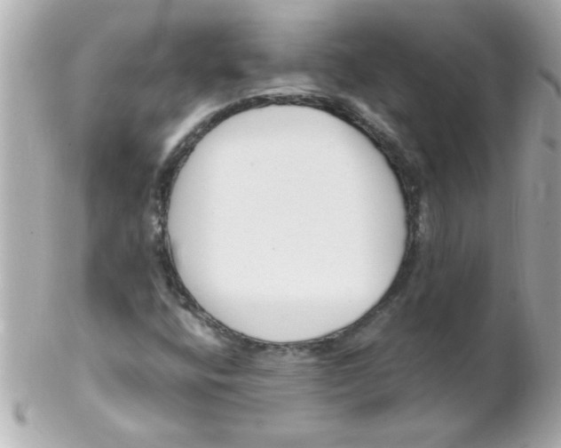 X0000102301400200808152007