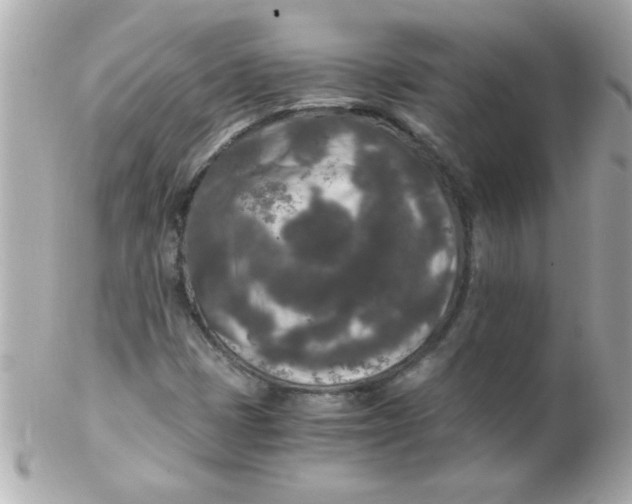 X0000102301401200808152007