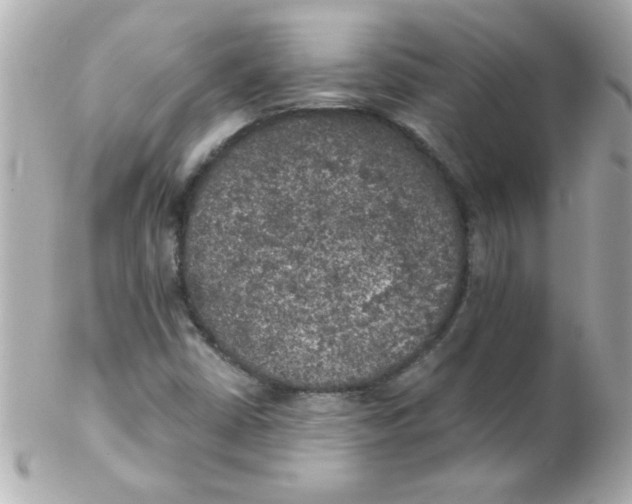 X0000102301402200808152007