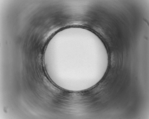 X0000102301404200808152007