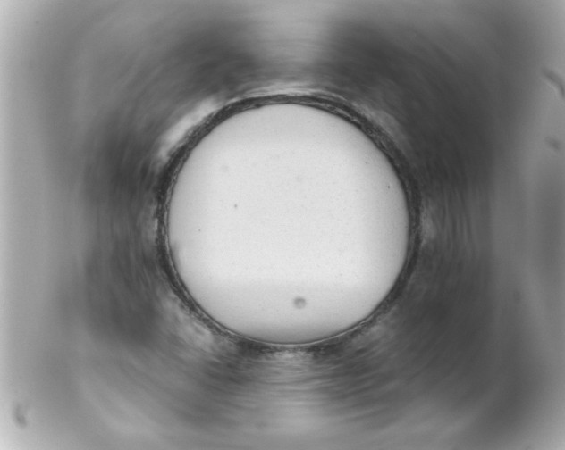 X0000102301406200808152007