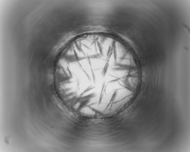 X0000102301407200808152007