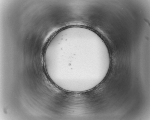 X0000102301408200808152007