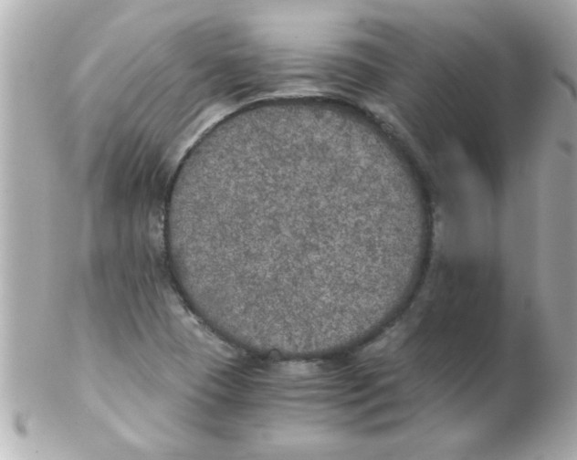 X0000102301409200808152007