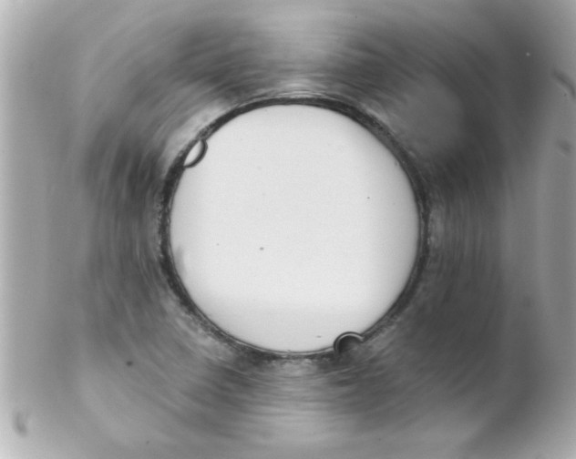 X0000102301410200808152007