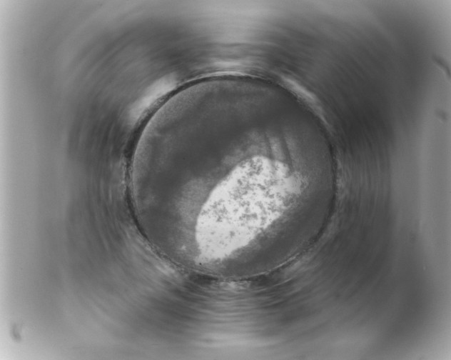 X0000102301411200808152007