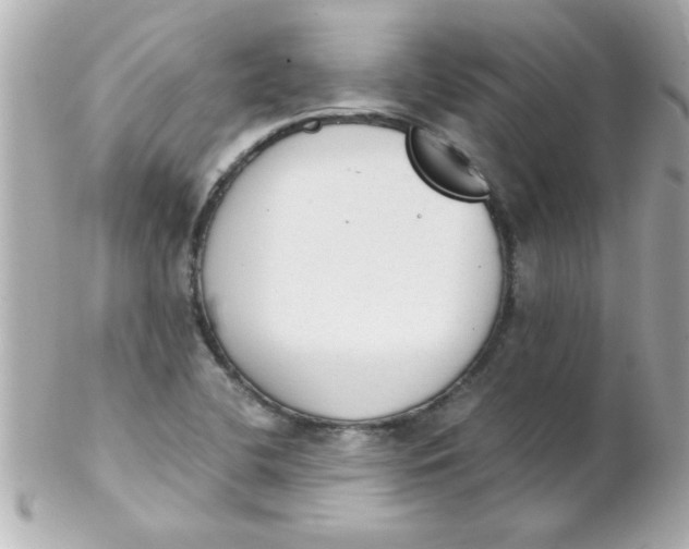 X0000102301412200808152007
