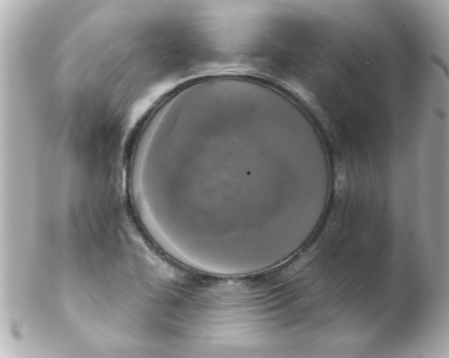X0000102301414200808152007