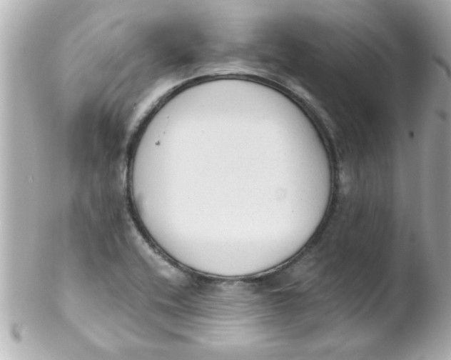 X0000102301416200808152007