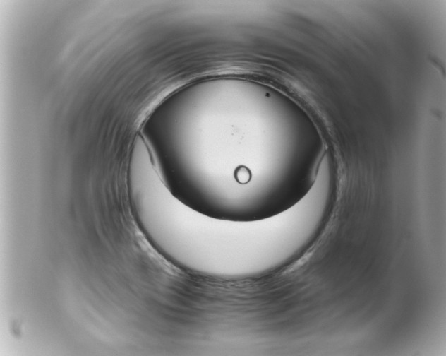 X0000102301417200808152007