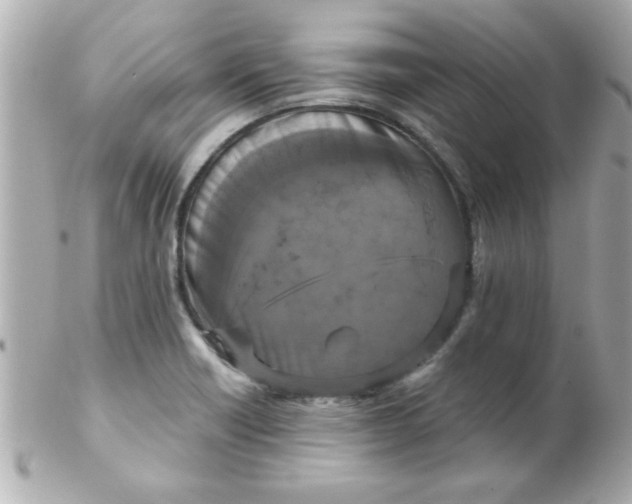X0000102301418200808152007