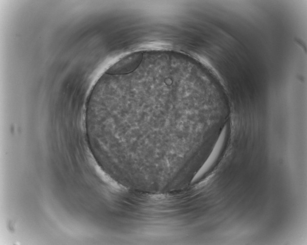 X0000102301421200808152007