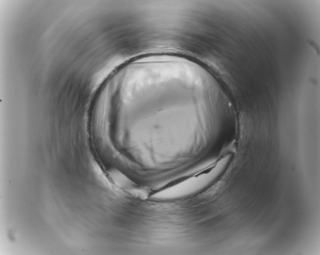 X0000102301422200808152007