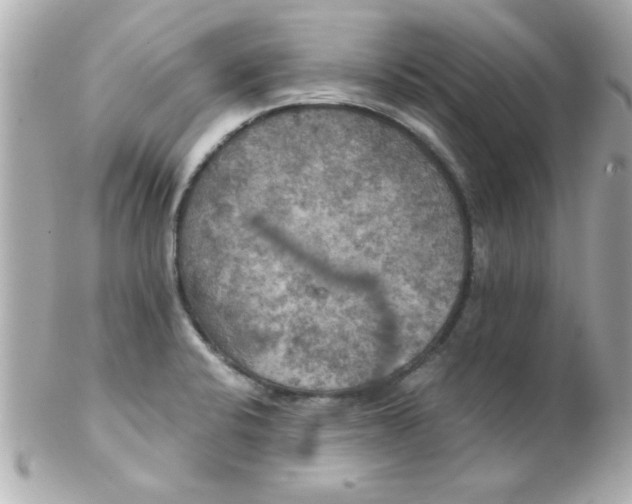 X0000102301424200808152007