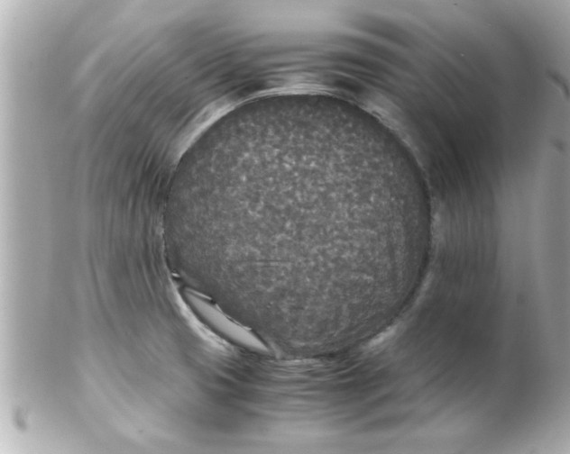 X0000102301425200808152007
