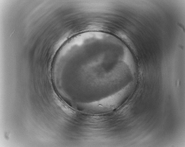 X0000102301427200808152007
