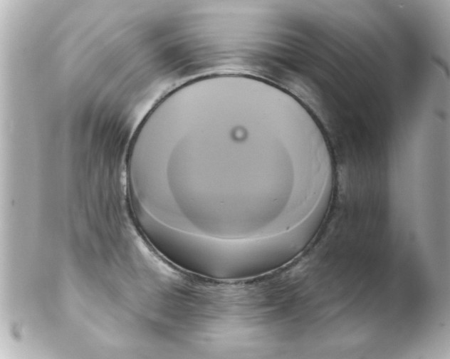 X0000102301428200808152007