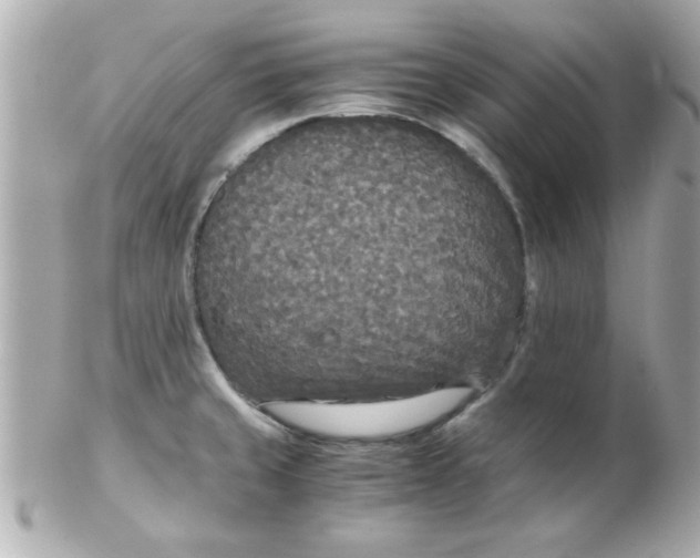 X0000102301429200808152007