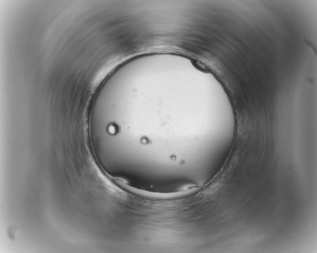 X0000102301430200808152007