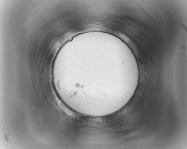 X0000102301431200808152007
