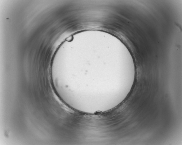 X0000102301432200808152007