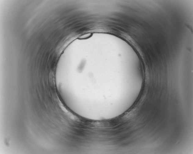 X0000102301433200808152007