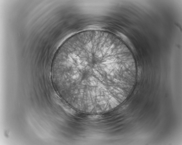 X0000102301435200808152007
