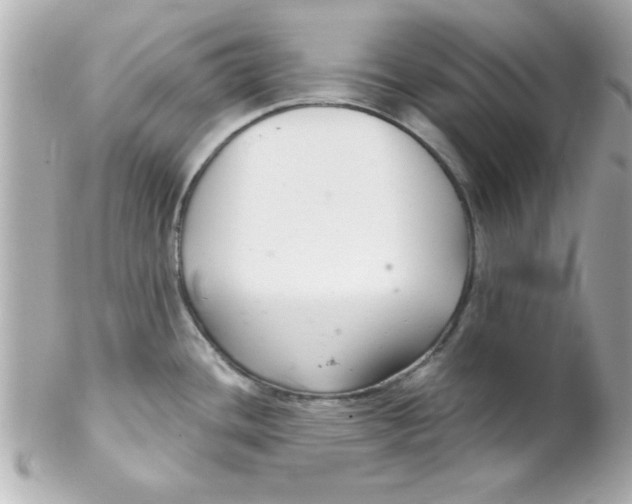 X0000102301436200808152007