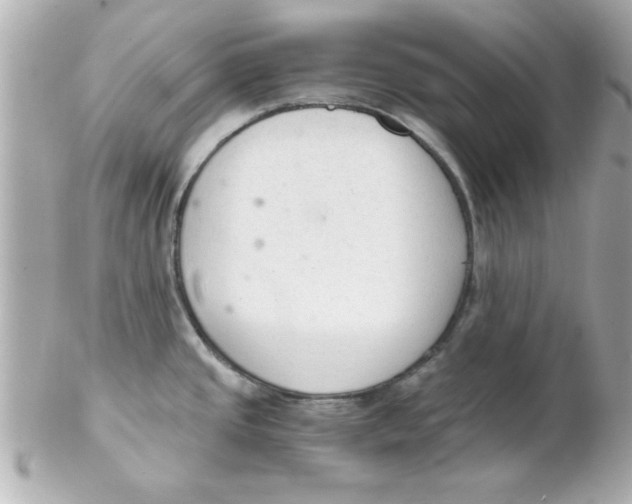X0000102301437200808152007