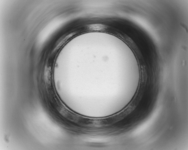 X0000102301438200808152007