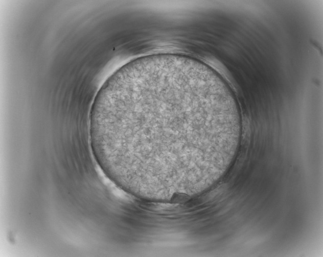X0000102301439200808152007