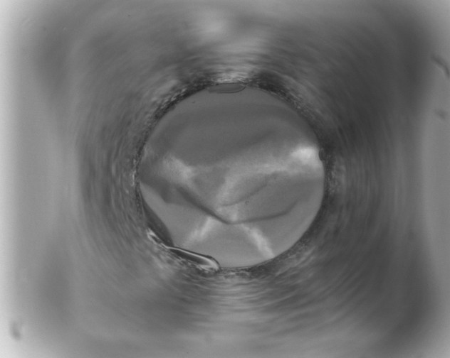 X0000102301441200808152006