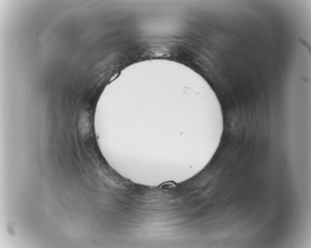 X0000102301442200808152006