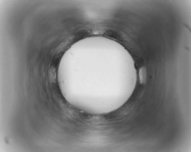 X0000102301443200808152006