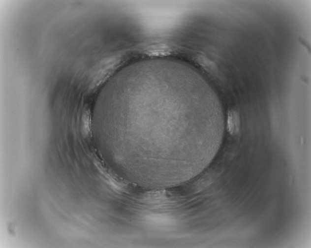 X0000102301444200808152006