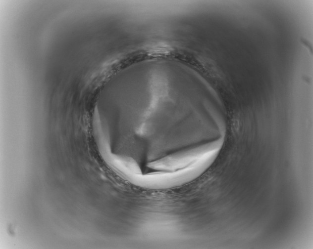 X0000102301445200808152006