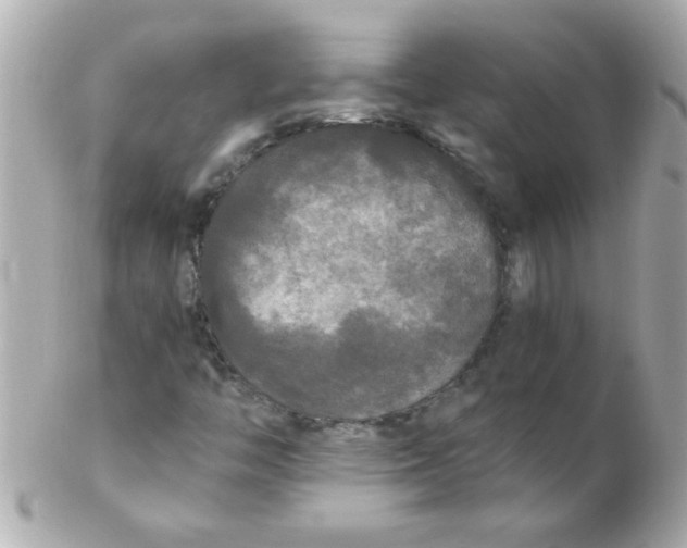 X0000102301446200808152006