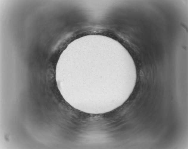 X0000102301447200808152006