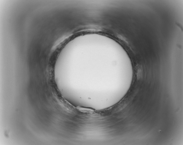 X0000102301448200808152006