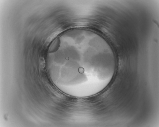 X0000102301449200808152006