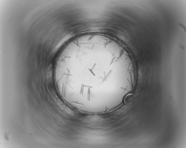 X0000102301450200808152006