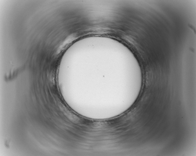 X0000102301451200808152006